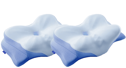 Derila Ergo 2 Pillows